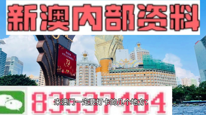 新澳最精准正最精准龙门,详细解答、解释与落实