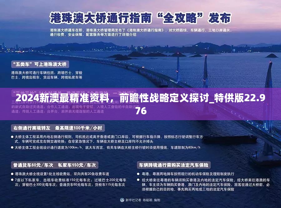 新澳2025最精准正最精准,详解释义、解释与落实