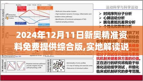 2025最准最精准免费资料看,详细解答、解释与落实