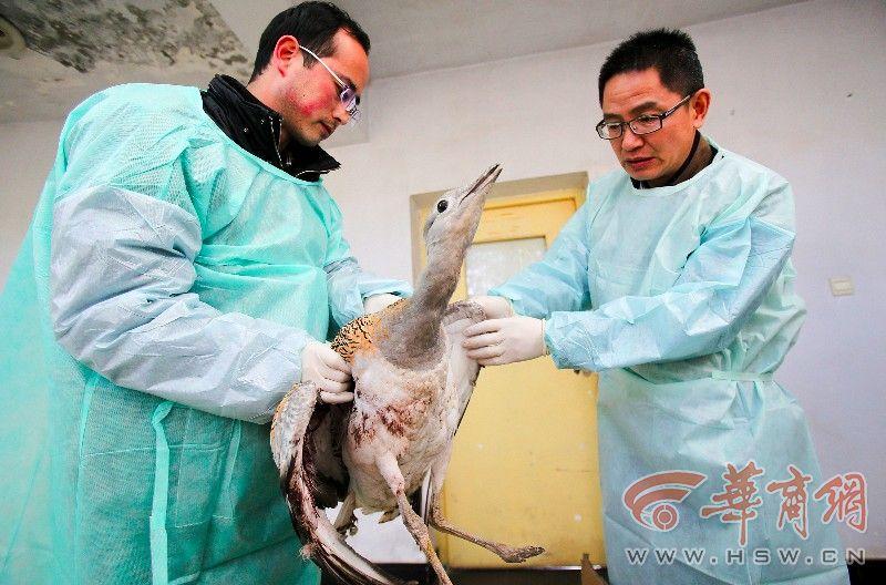 临潼渭河治理最新消息